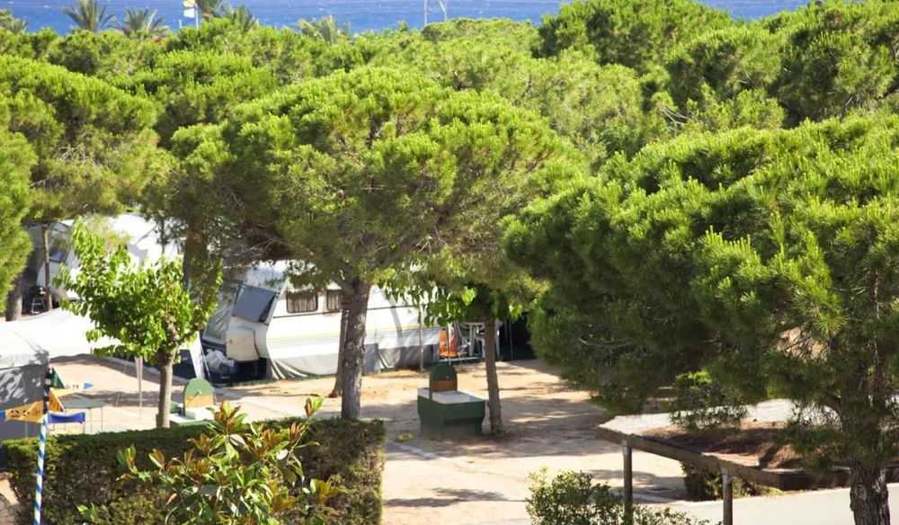 Camping Stel Puigcerda