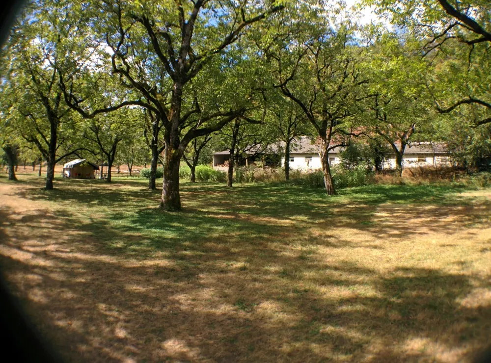 Camping La Berge Ombragee