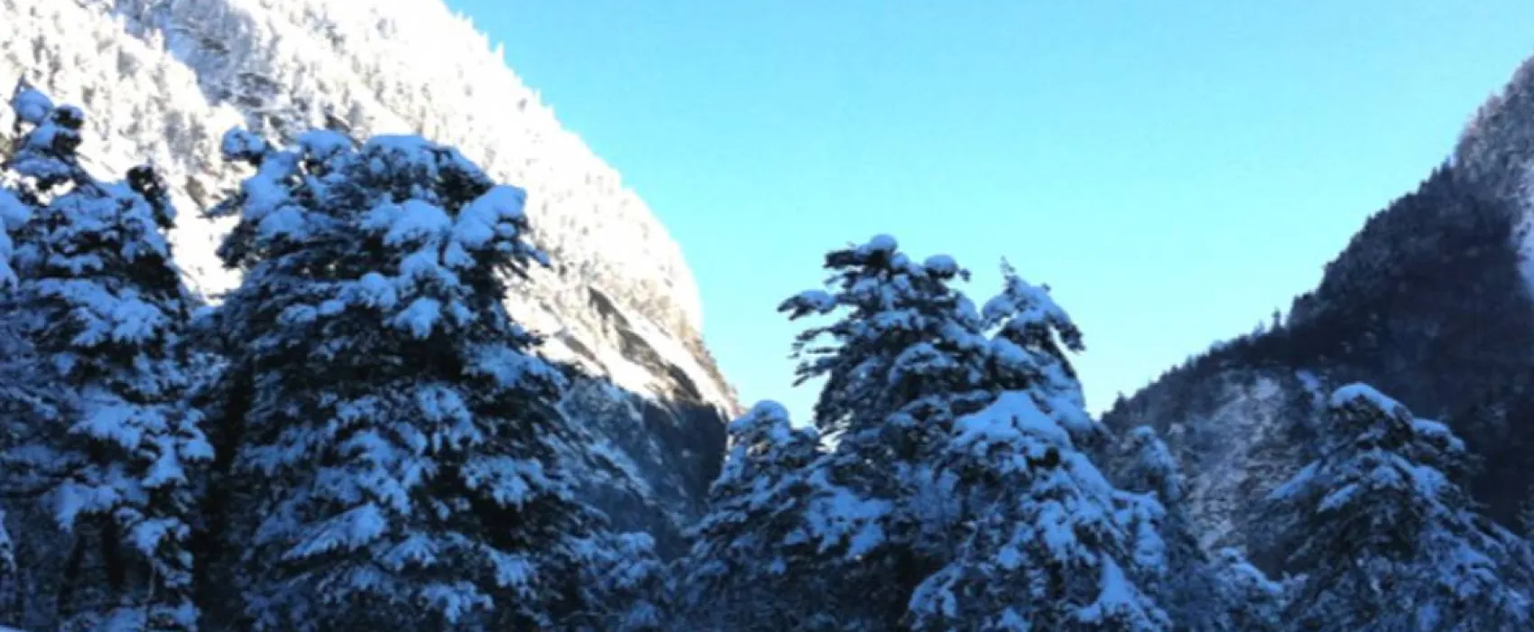 Waldcamping Landquart