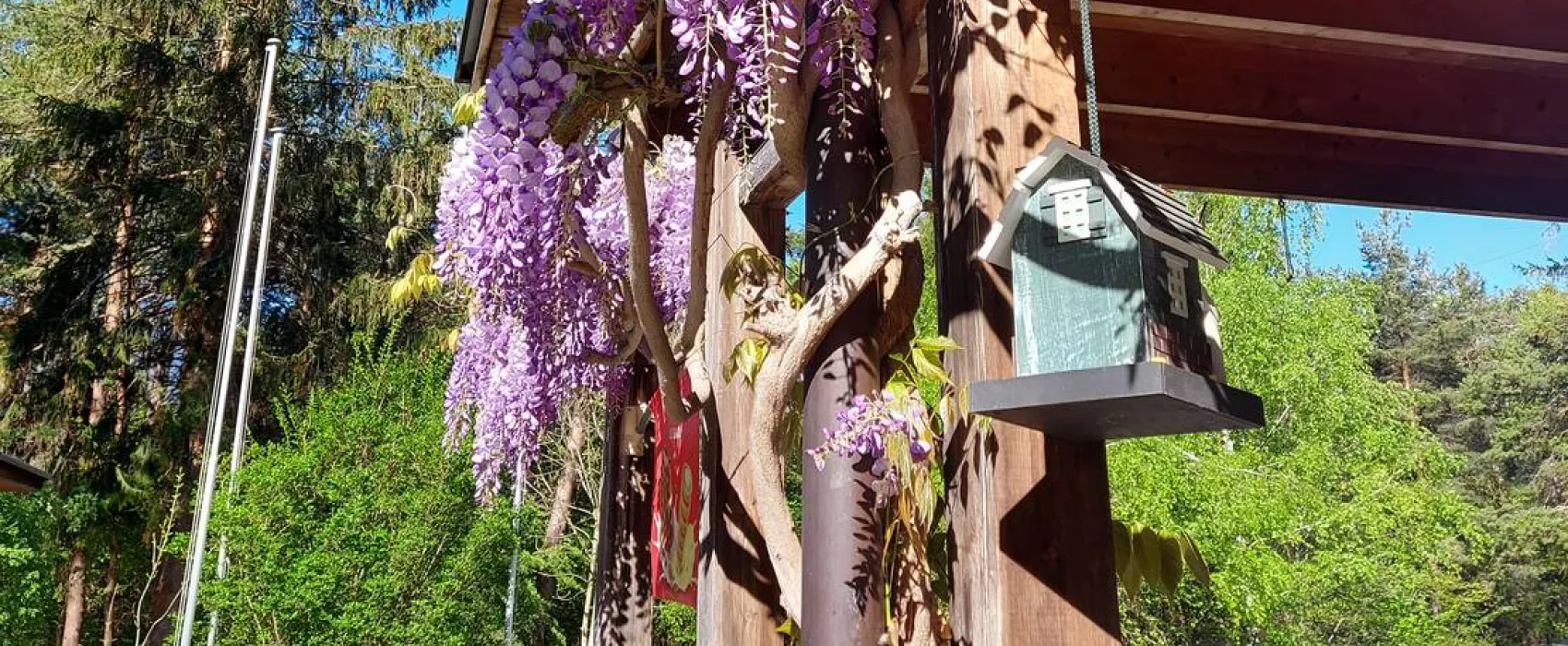 Waldcamping Landquart