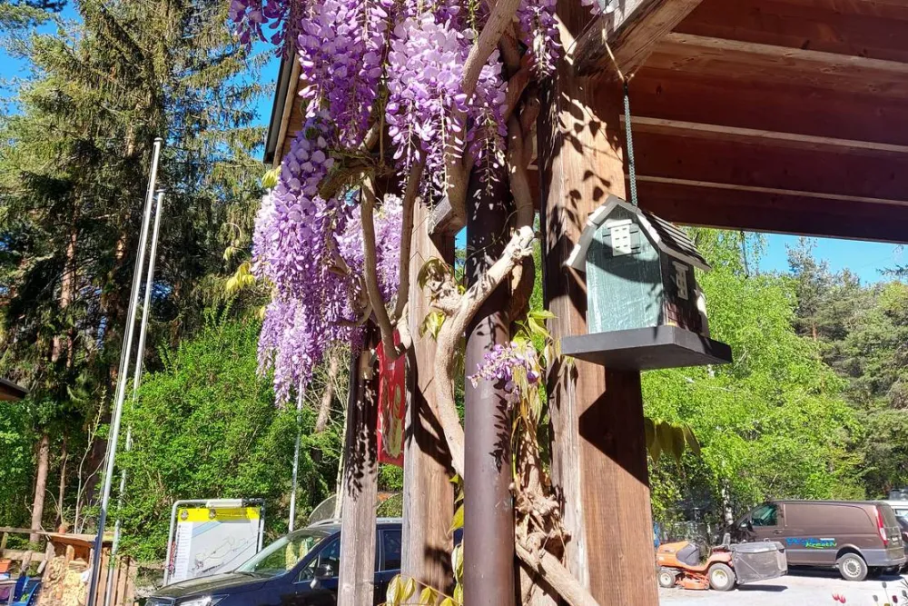 Waldcamping Landquart