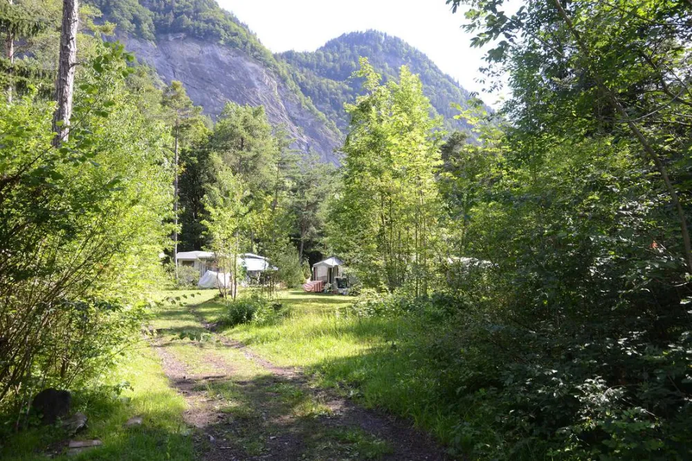 Waldcamping Landquart