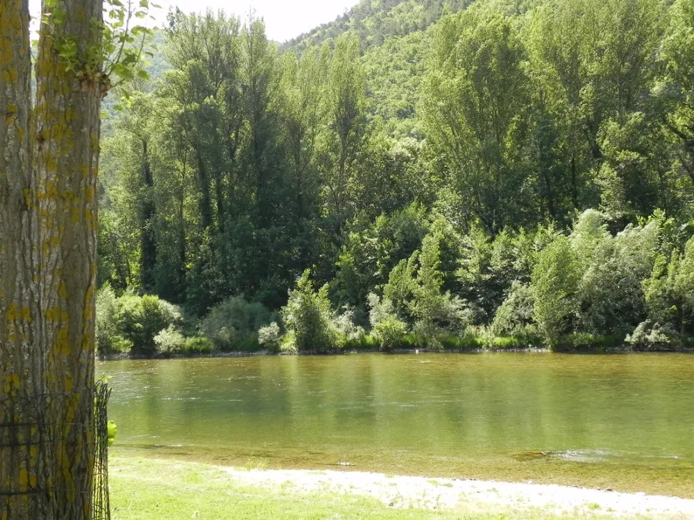 Camping Le Moulin De La Galiniere  