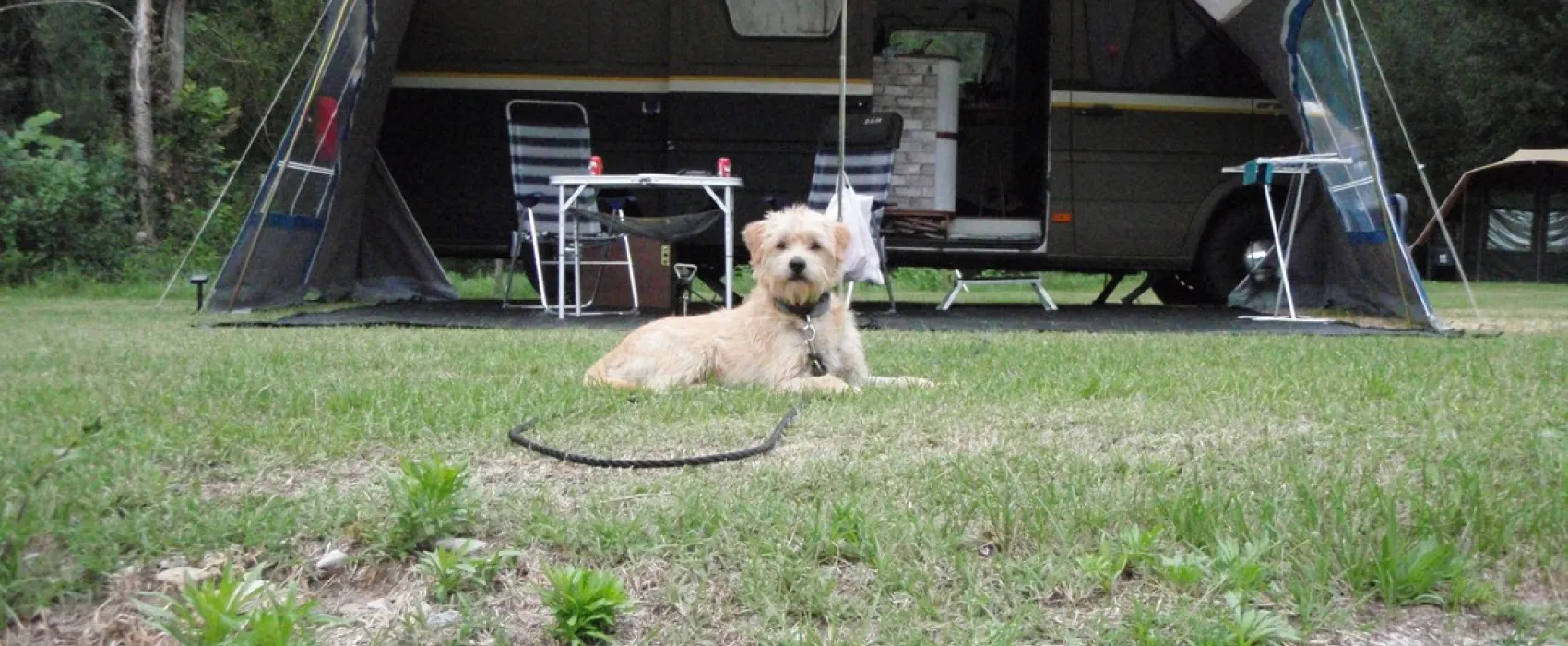 Camping Le Moulin De La Galiniere  