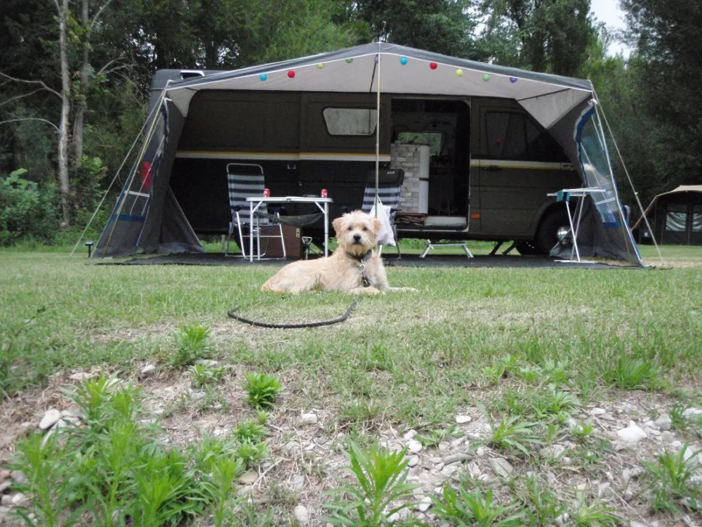 Camping Le Moulin De La Galiniere  