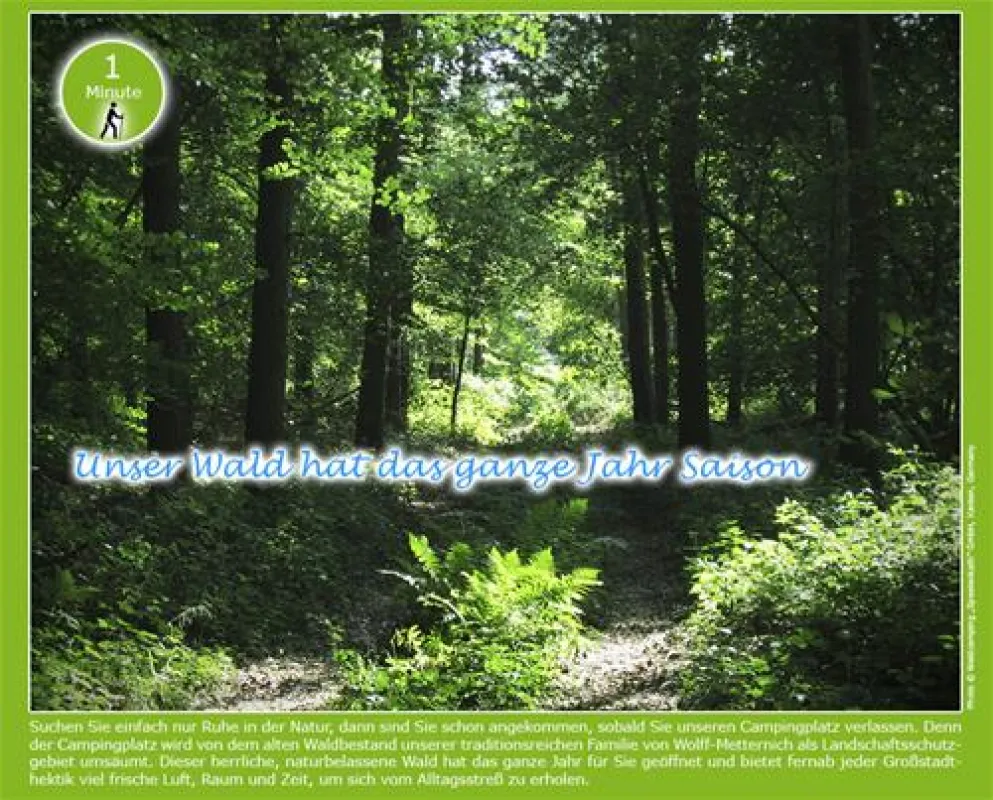 WALDCAMPING "SPEETENKATH" XANTEN