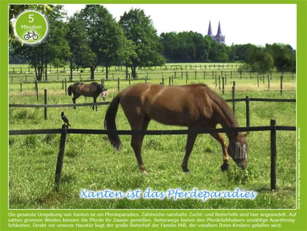 WALDCAMPING "SPEETENKATH" XANTEN