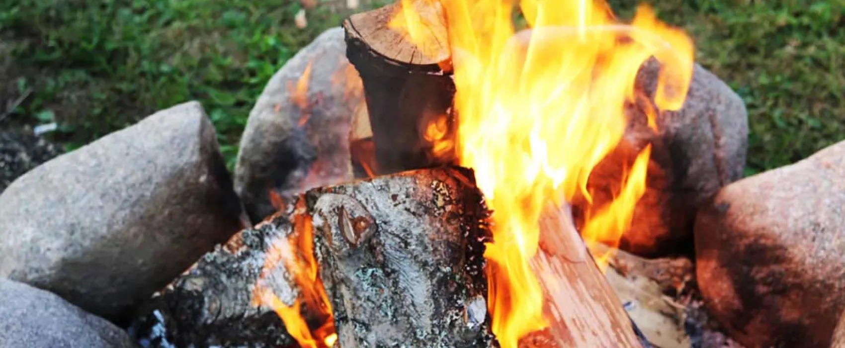 Novgorodskaya Derevnya