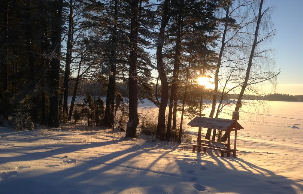 Novgorodskaya Derevnya