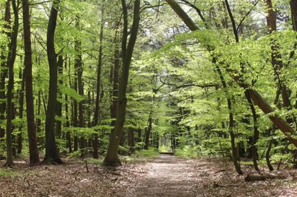 KNAUS Campingpark Elbtalaue