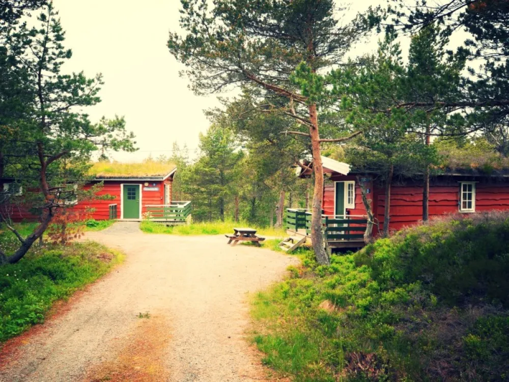 Byskogen Camping