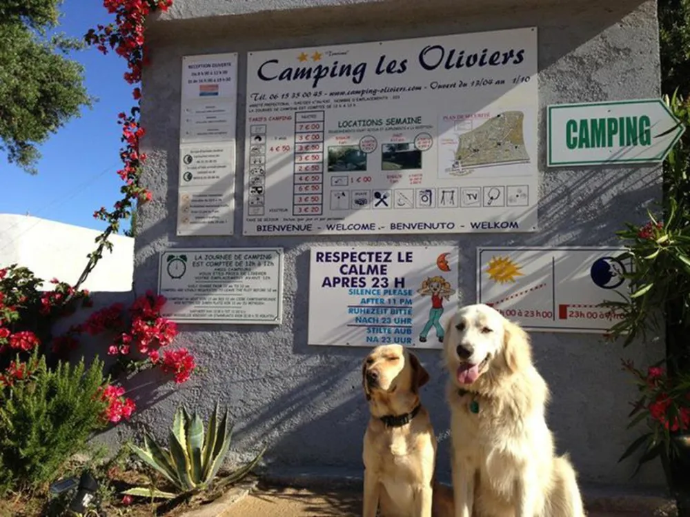 Camping Les Oliviers