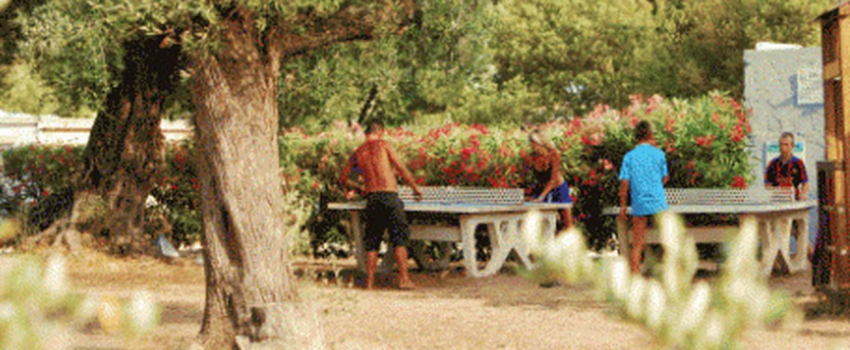 Camping Les Oliviers