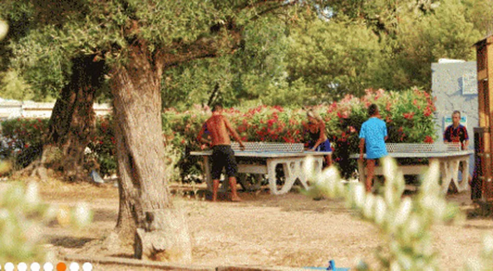 Camping Les Oliviers