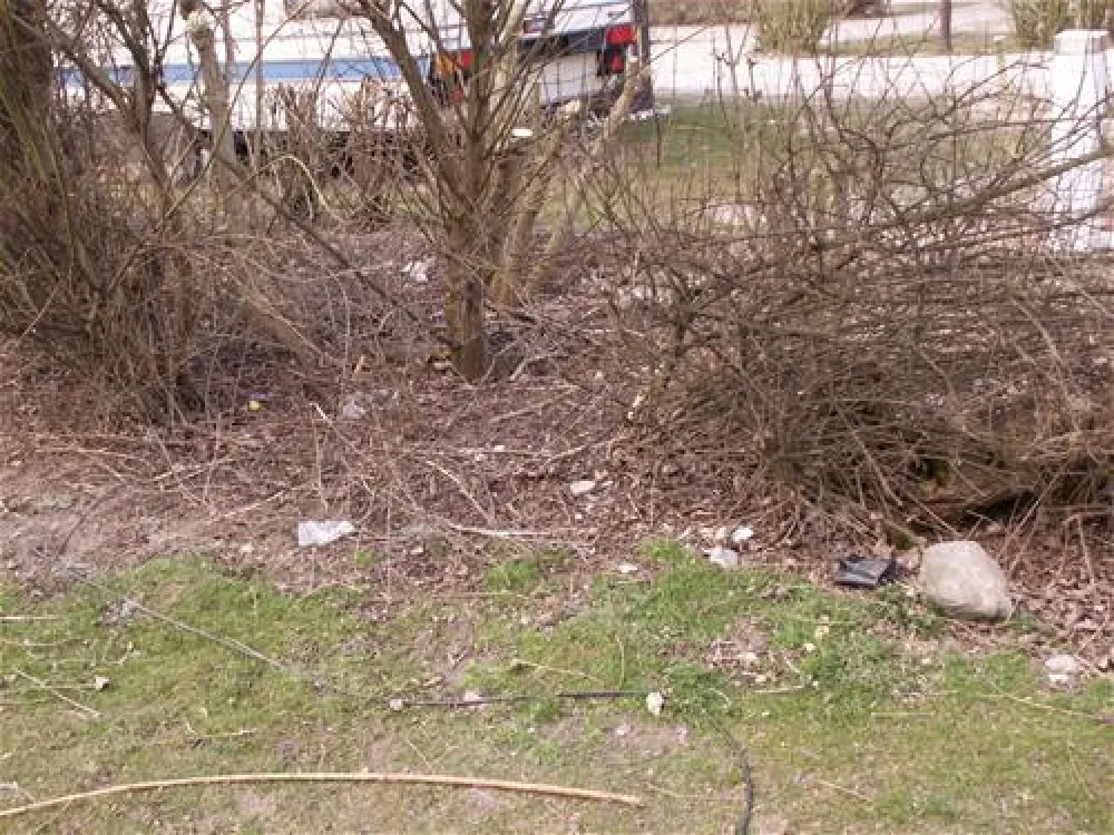 Camping - und Ferienpark Wulfener Hals