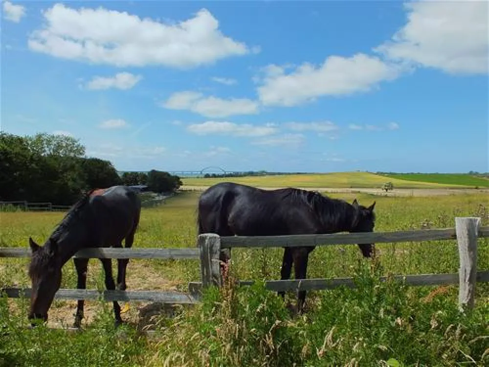 Camping - und Ferienpark Wulfener Hals