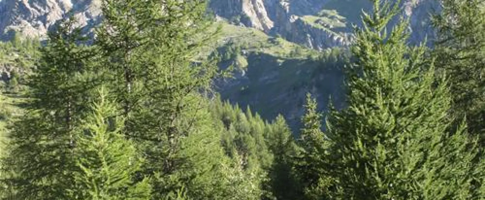 Camping Grandes Jorasses