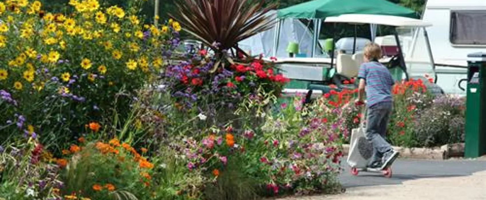 Chestnut Meadow Country Park