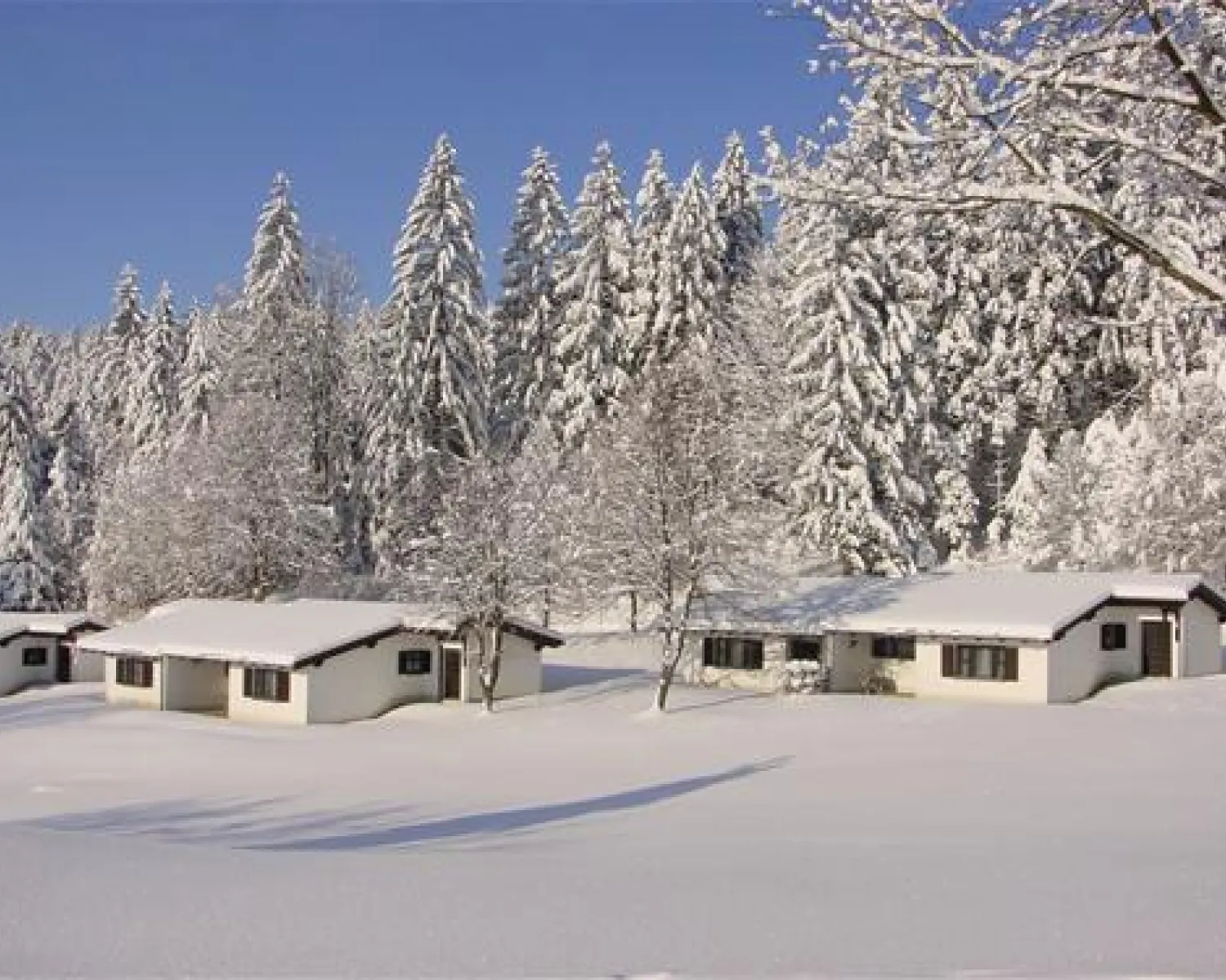 Camping Bayerwald in Deutschland - Spottocamp - Spottocamp