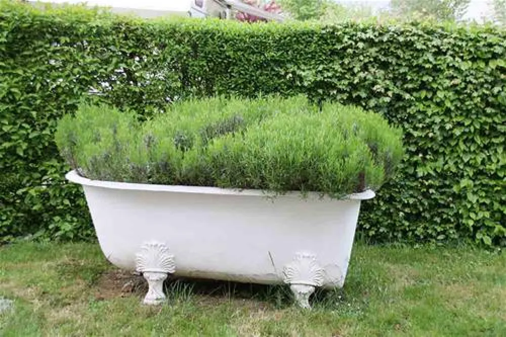 Camping Les Pommiers