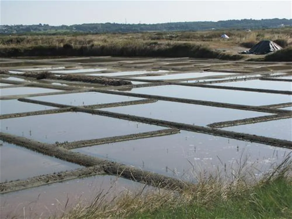 Camping Municipal Les Chardons Bleus