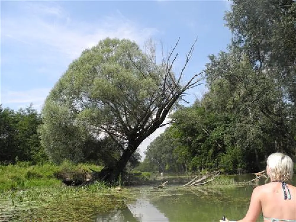 Donaupark Camping Tulln