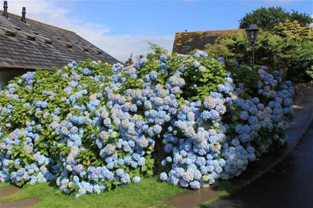 Carlyon Bay Caravan & Camping Park