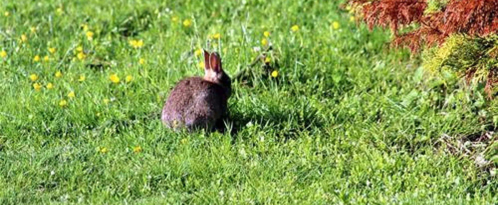 Carlyon Bay Caravan & Camping Park