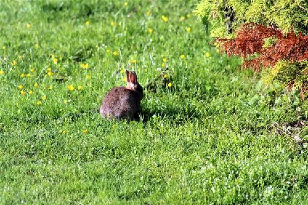 Carlyon Bay Caravan & Camping Park