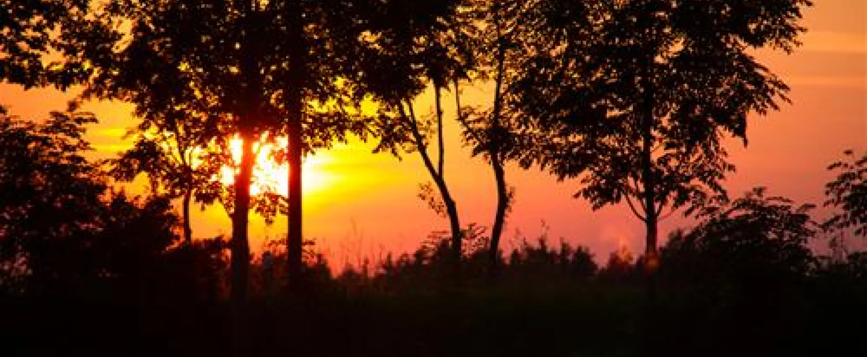 Der  Birkholmhof "Urlaub und Natur"