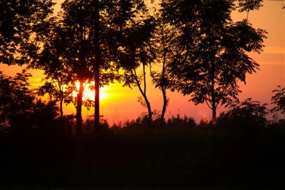 Der  Birkholmhof "Urlaub und Natur"