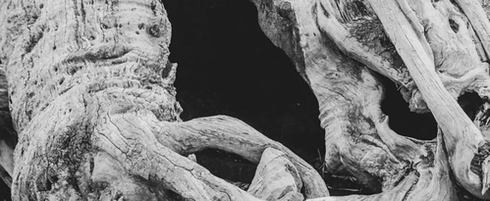 Mambray Creek Campground