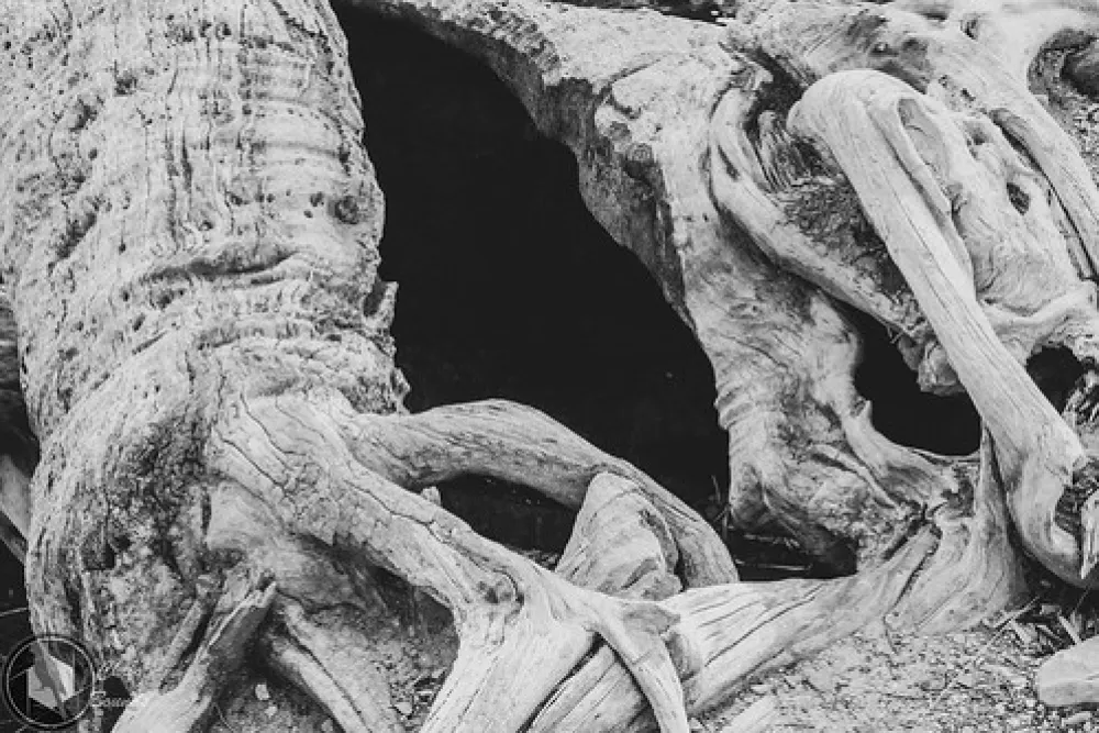 Mambray Creek Campground