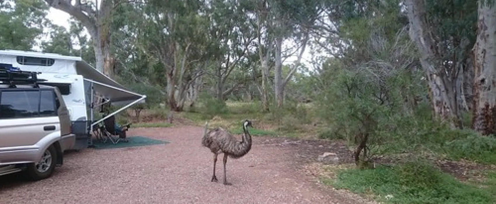 Mambray Creek Campground