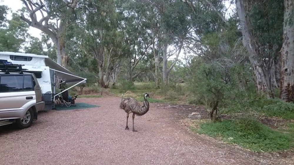 Mambray Creek Campground