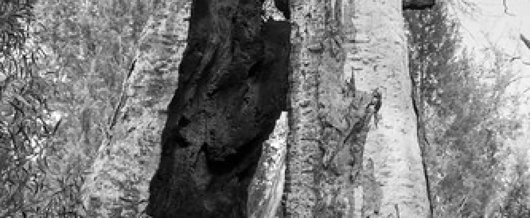 Mambray Creek Campground