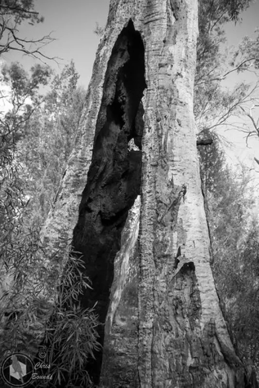 Mambray Creek Campground