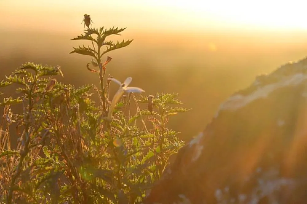 Mambray Creek Campground