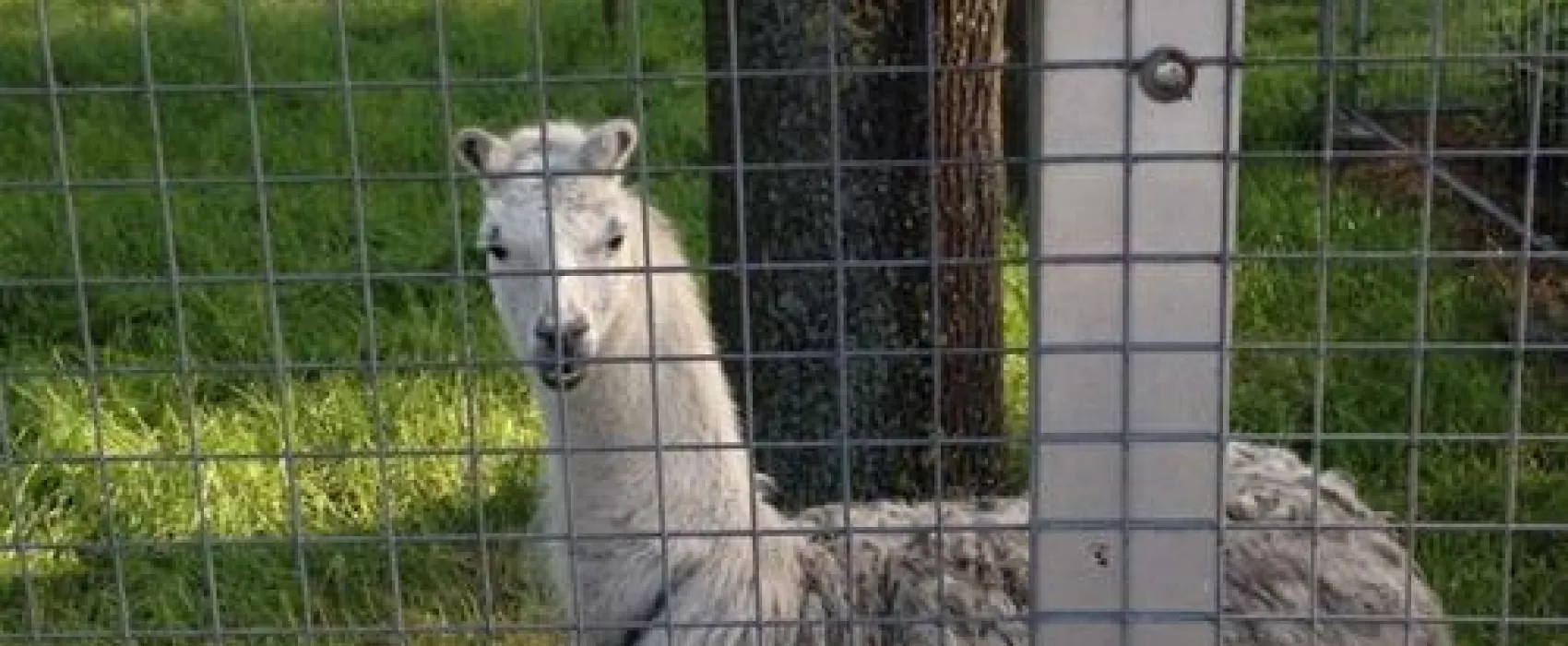 Campingplatz-Neuengland