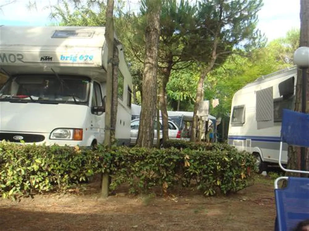 Camping Malibu Beach