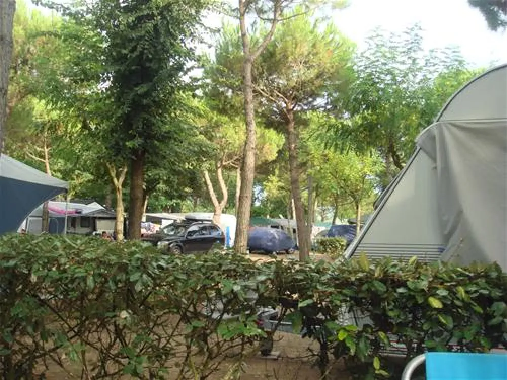 Camping Malibu Beach