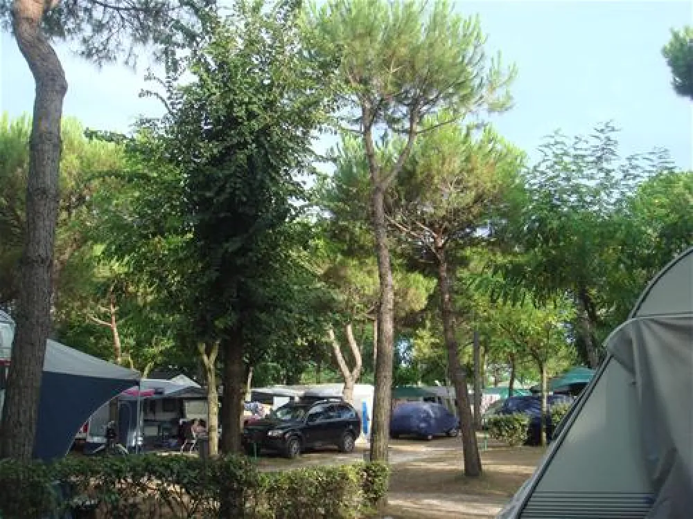 Camping Malibu Beach