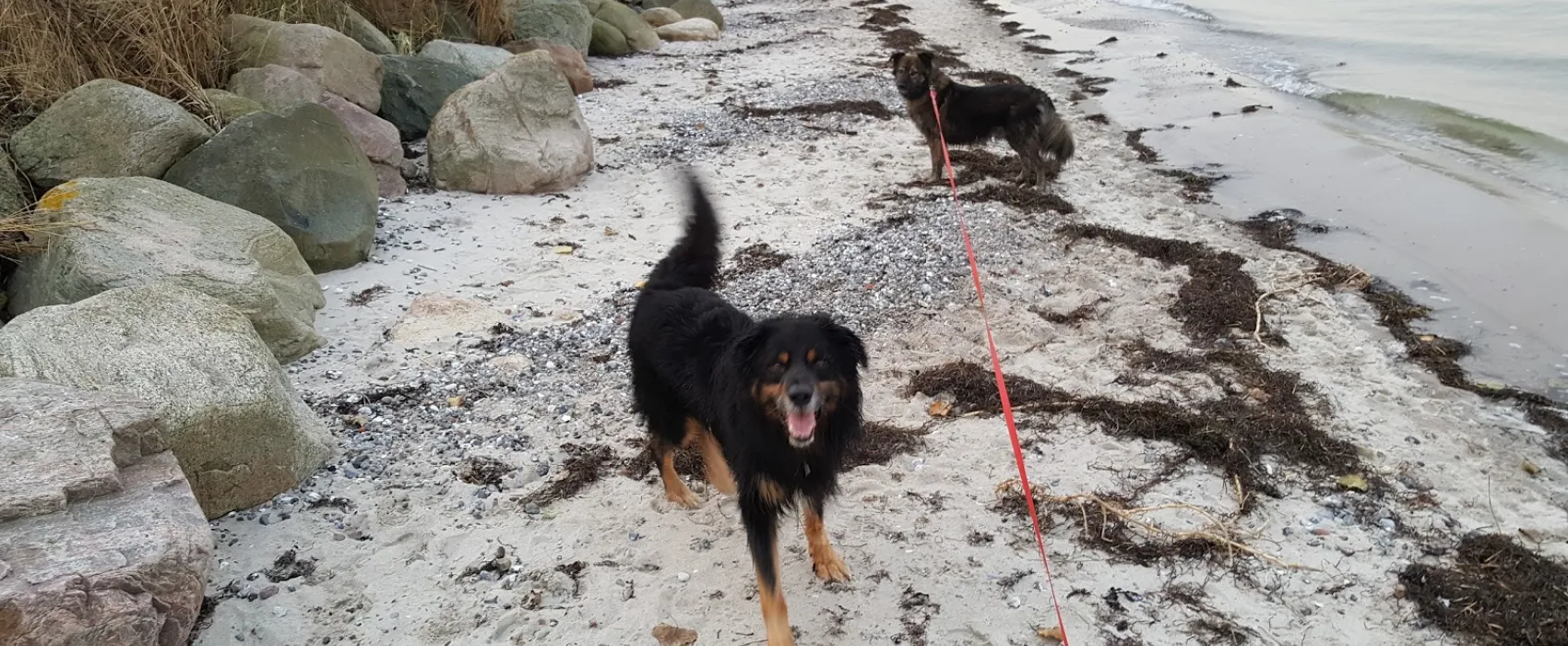 Camping Steinberghaff