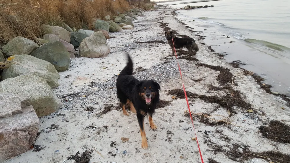 Camping Steinberghaff