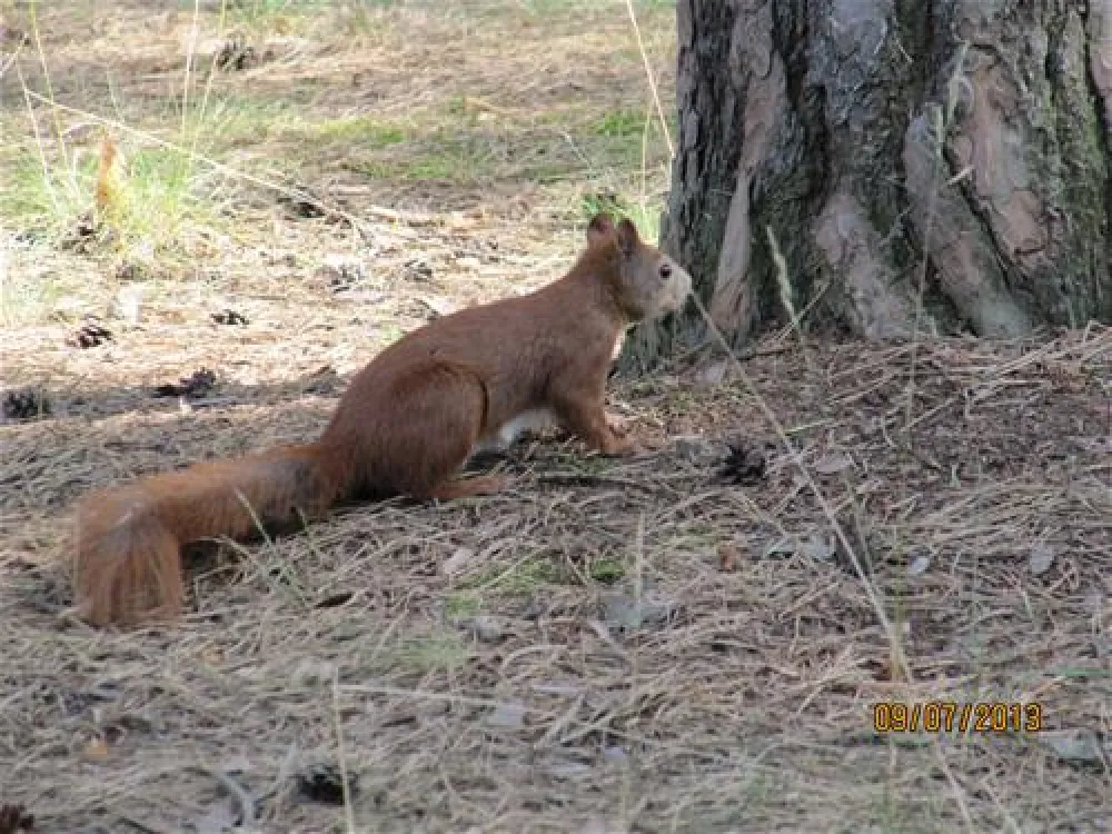 Schervenzsee Camping & Erholung