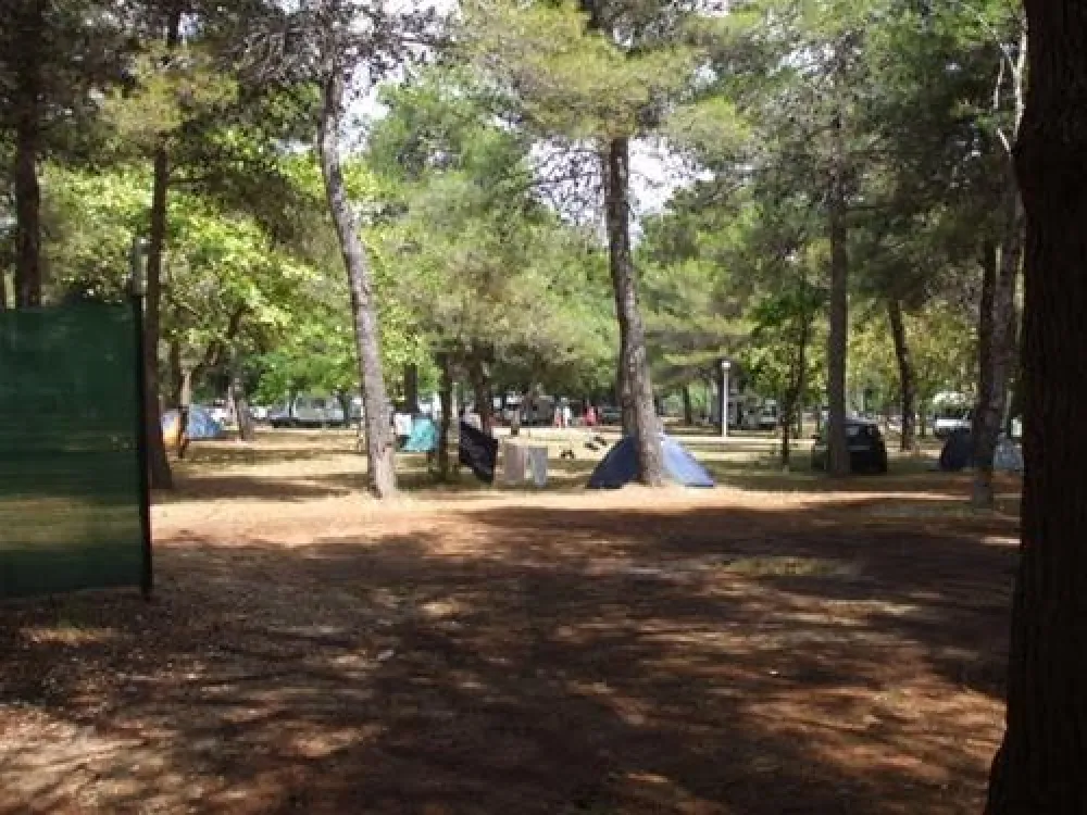 Camping Borik