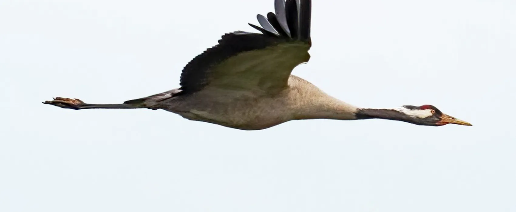 Natuurkampeerterrein Oude Willem