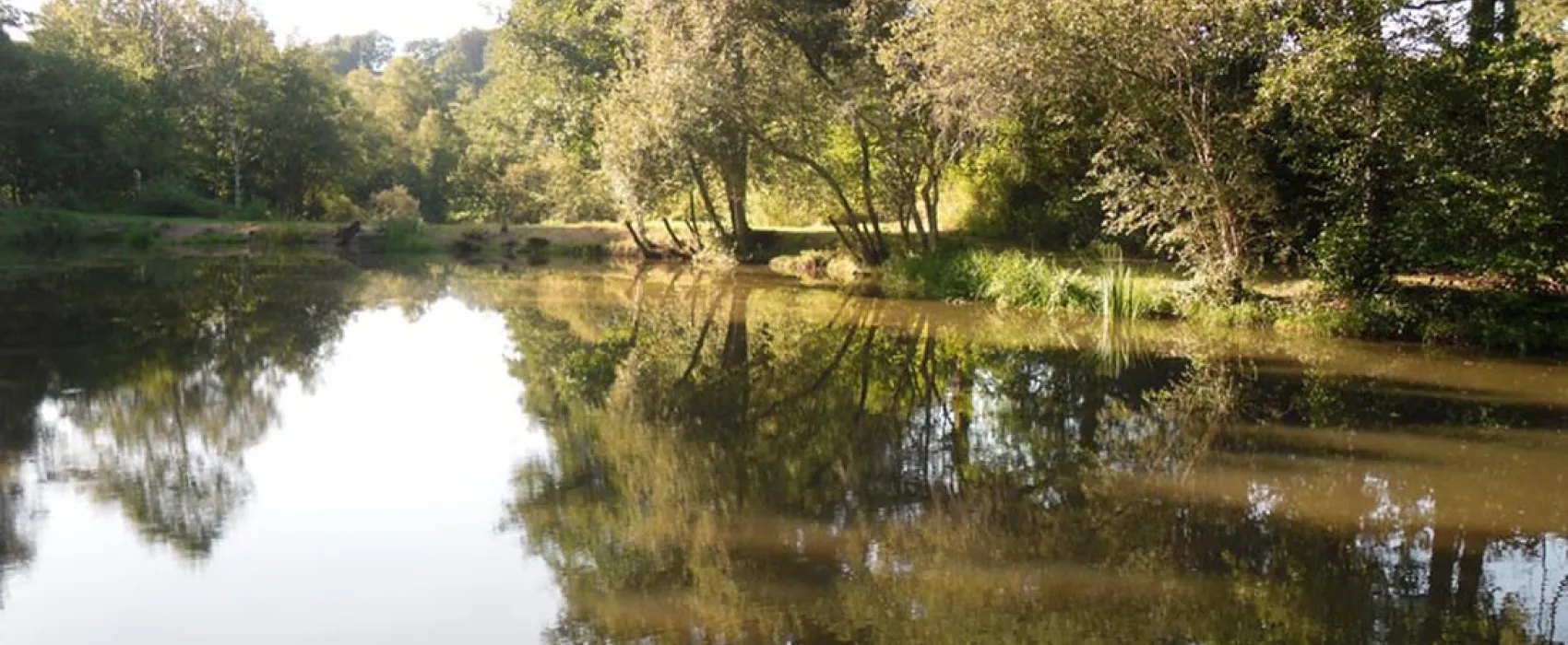 Camping Moulin De La Geneste  