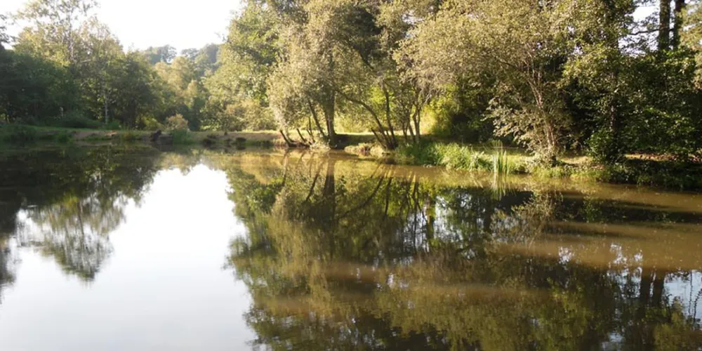 Camping Moulin De La Geneste  