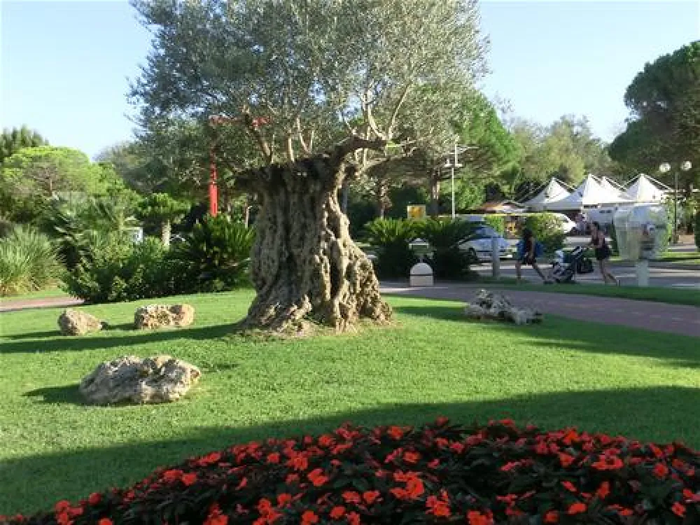 Centro Vacanze Pra`delle Torri